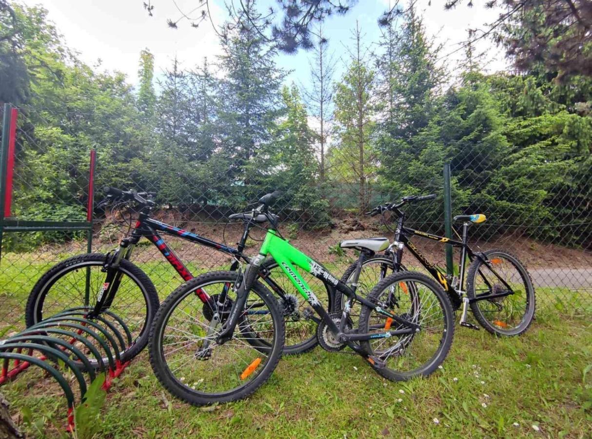Penzion Roal Pieniny Hotel Spisska Stara Ves Ngoại thất bức ảnh